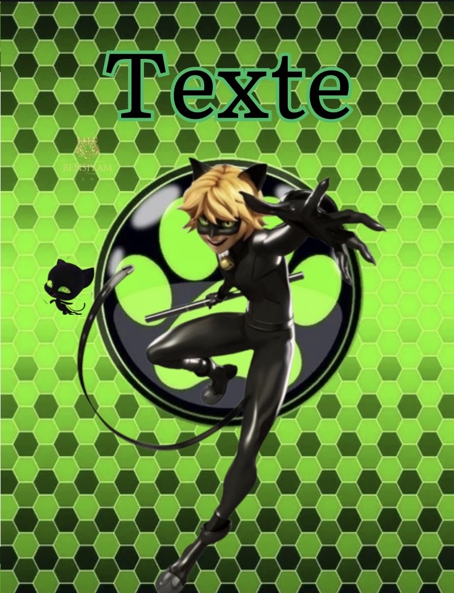 Ladybug & Chat Noir