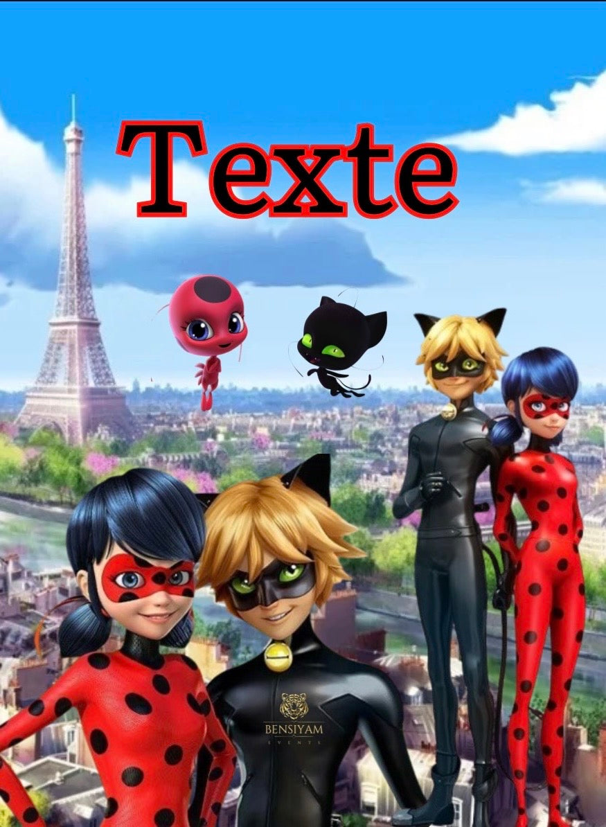 Ladybug & Chat Noir